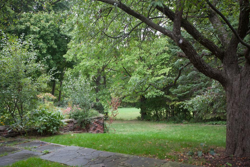 多伦多邓肯公园民宿 Toronto Duncan Park Guesthouse Exterior photo